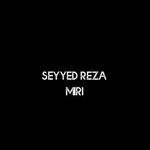 Seyyed Reza Miri